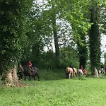 Parc D'audinac Les Bains 3 Etoiles - Piscine Chauffee - Vue Montagne Camping