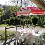 Parc D'audinac Les Bains 3 Etoiles - Piscine Chauffee - Vue Montagne Camping