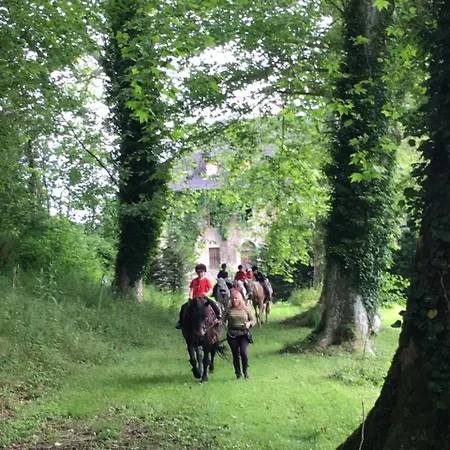 Parc D'audinac Les Bains 3 Etoiles - Piscine Chauffee - Vue Montagne