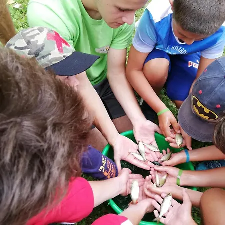 Parc D'audinac Les Bains 3 Etoiles - Piscine Chauffee - Vue Montagne Kemping 3*