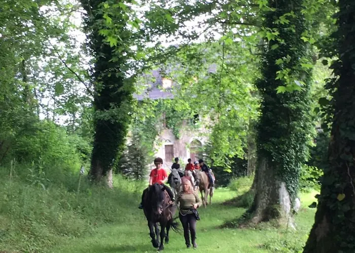 Parc D'audinac Les Bains 3 Etoiles - Piscine Chauffee - Vue Montagne