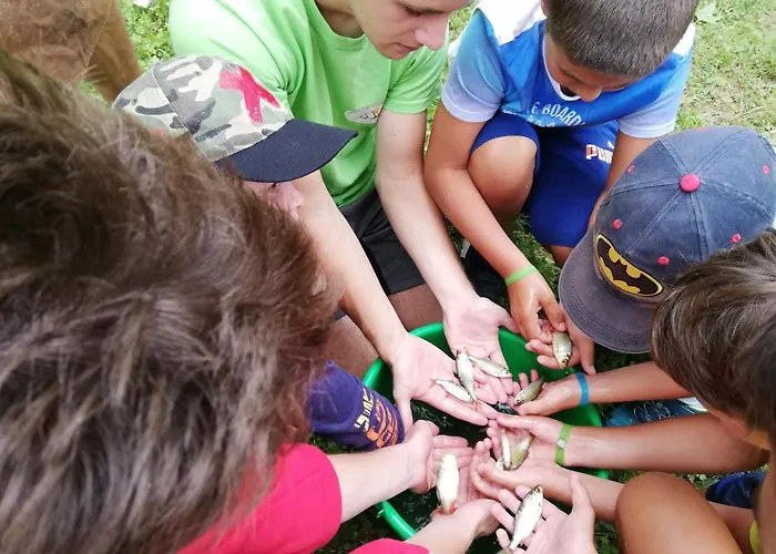 Parc D'audinac Les Bains 3 Etoiles - Piscine Chauffee - Vue Montagne Kamp alanı 3*