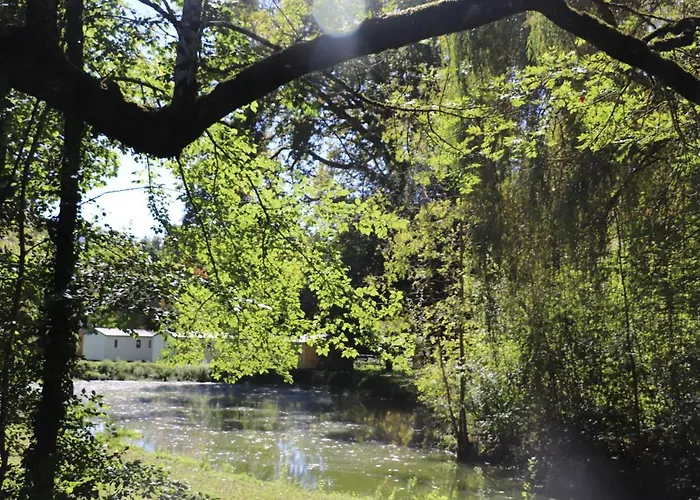 Parc D'audinac Les Bains 3 Etoiles - Piscine Chauffee - Vue Montagne